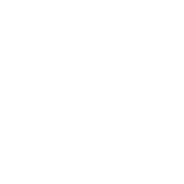 icons-EXTENSIVE-PHONICS-PROGRAMME-t.png