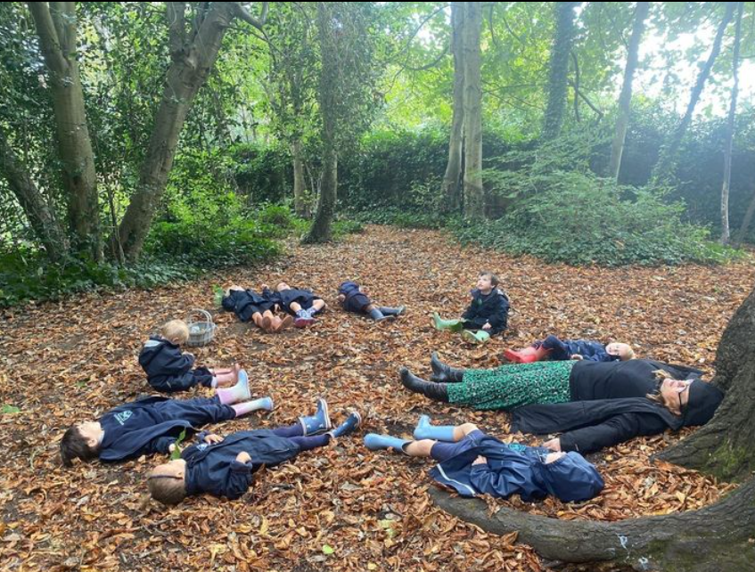 NURSERY ACORNS ARE ENJOYING FOREST PLAY